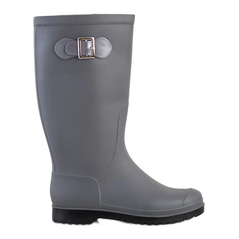 Matt Galoshes With Buckle grey