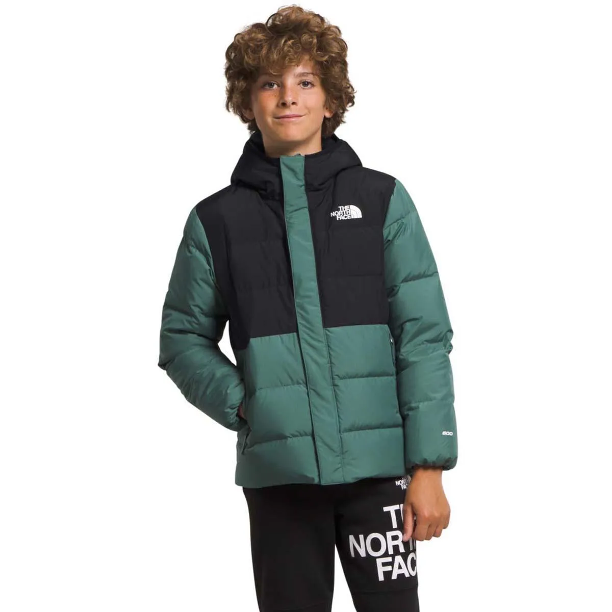 The North Face Boy's North Down Fleece-Lined Parka